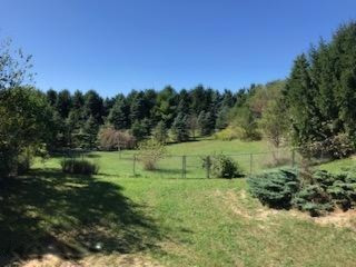 53466 Ridgeview Circle Paw Paw, MI 49079 - Photo 40 of 41 IMG_3099