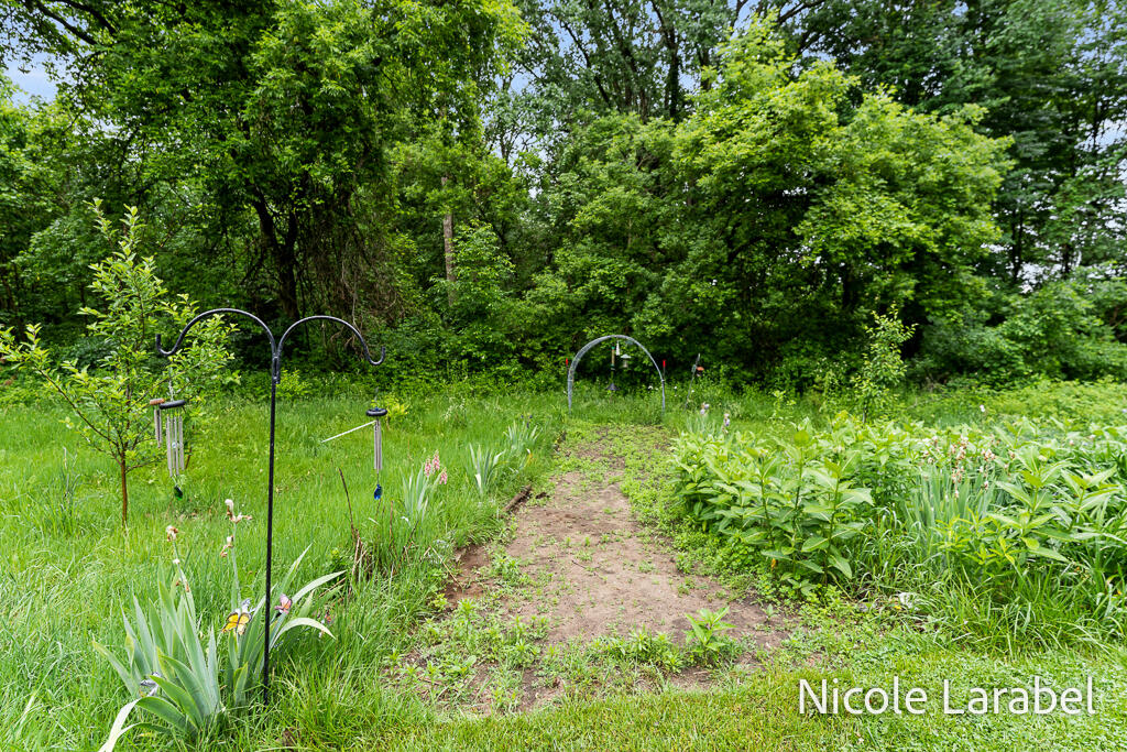 4696 16 Mile Road Northeast Cedar Springs, MI 49319 - Photo 26 of 30 4696 16 Mile NE-20LoRes