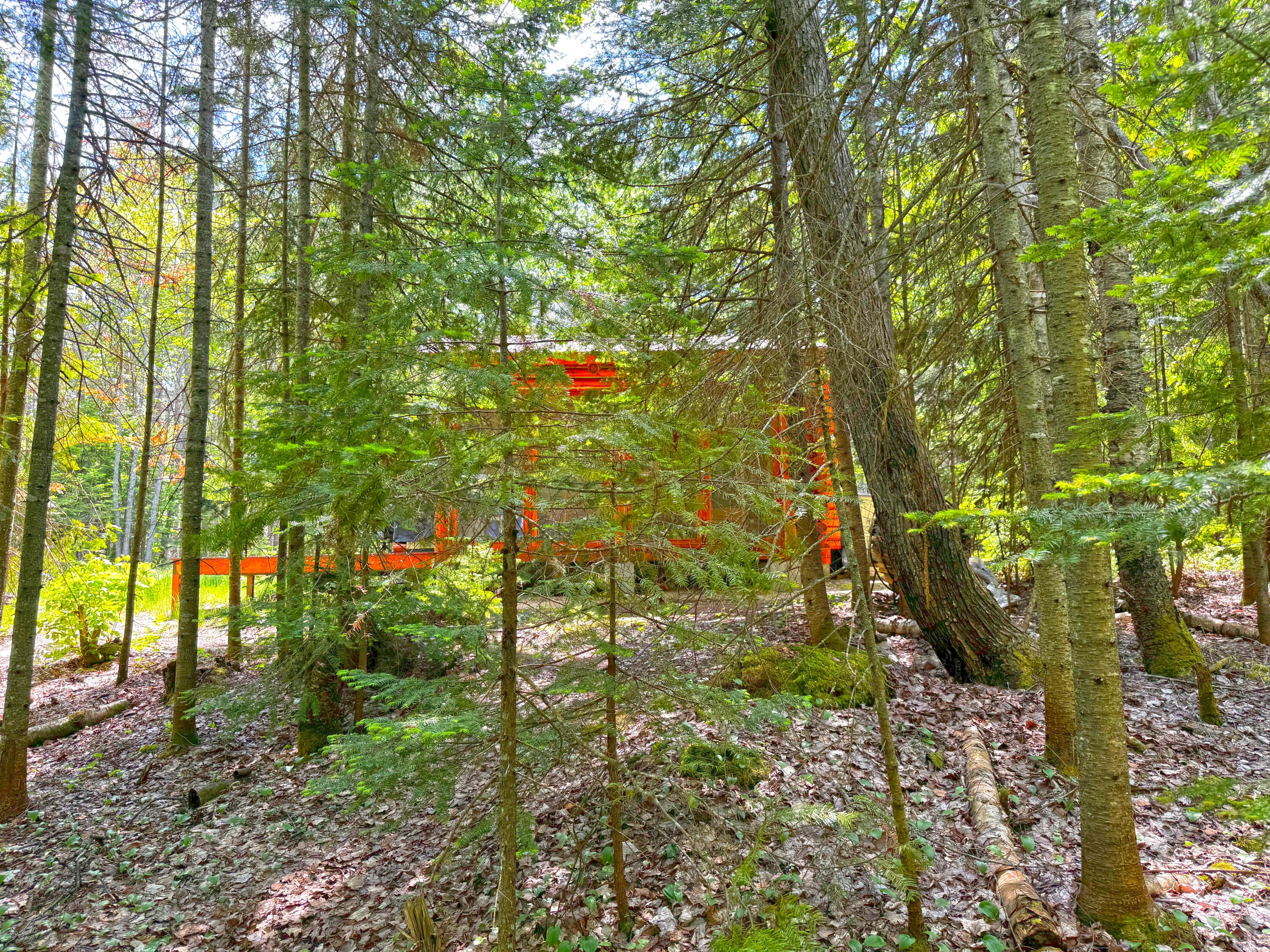 31202 West Wild Cat Road Paradise, MI 49768 - Photo 33 of 41 Gallery Image 33