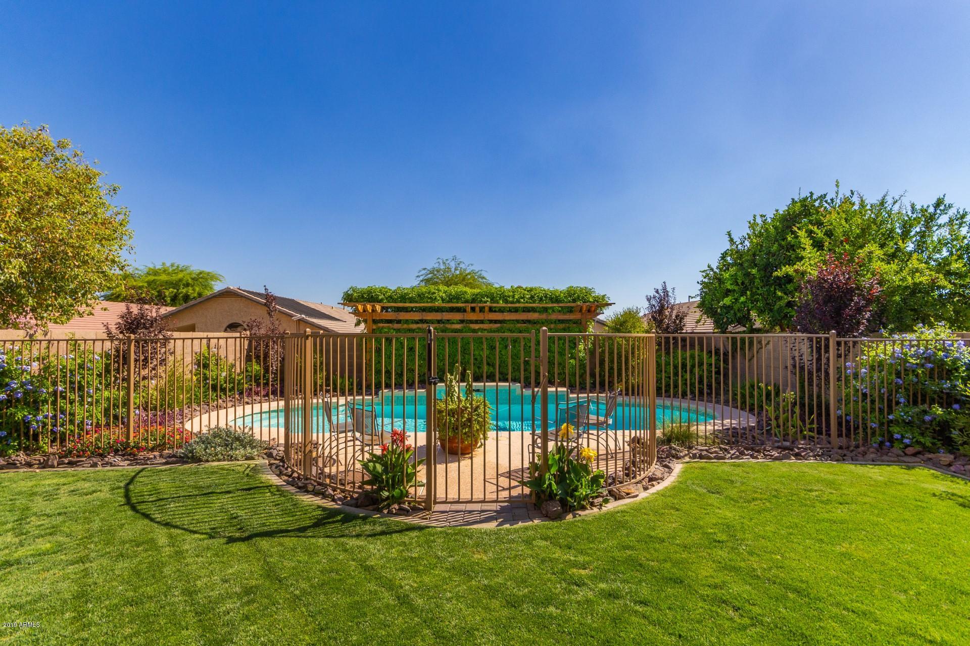 4619 East Weaver Road Phoenix, AZ 85050 - Photo 21 of 25 Backyard oasis
