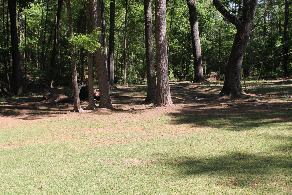 7375 Riverfork Road Waterloo, SC 29384 - Photo 47 of 50