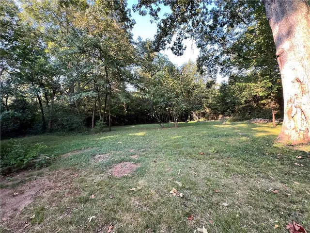 a view of backyard with green space