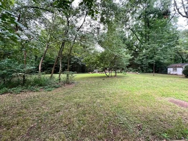 a view of a tree in a yard