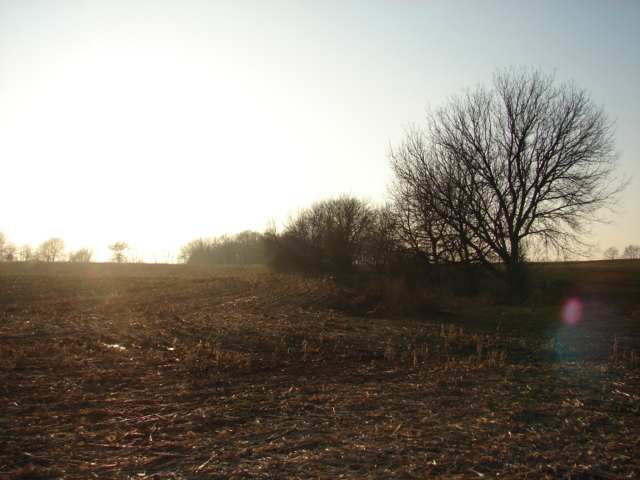 Tbd West Galena Road Lena, IL 61048 - Photo 3 of 3 a view of mountain view with trees
