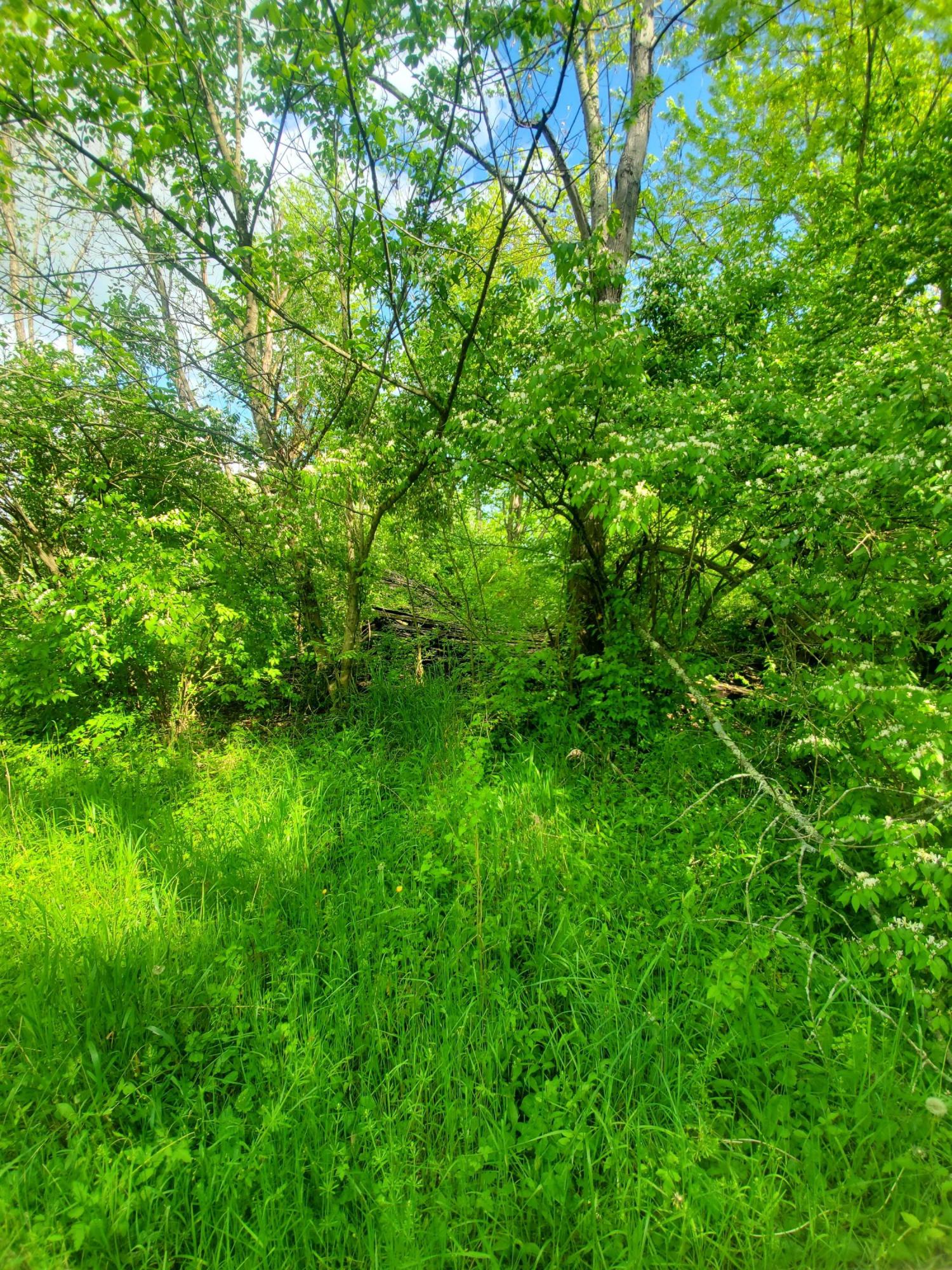 2693 Clintonville Road Paris, KY 40361 - Photo 27 of 47 20210505_171125