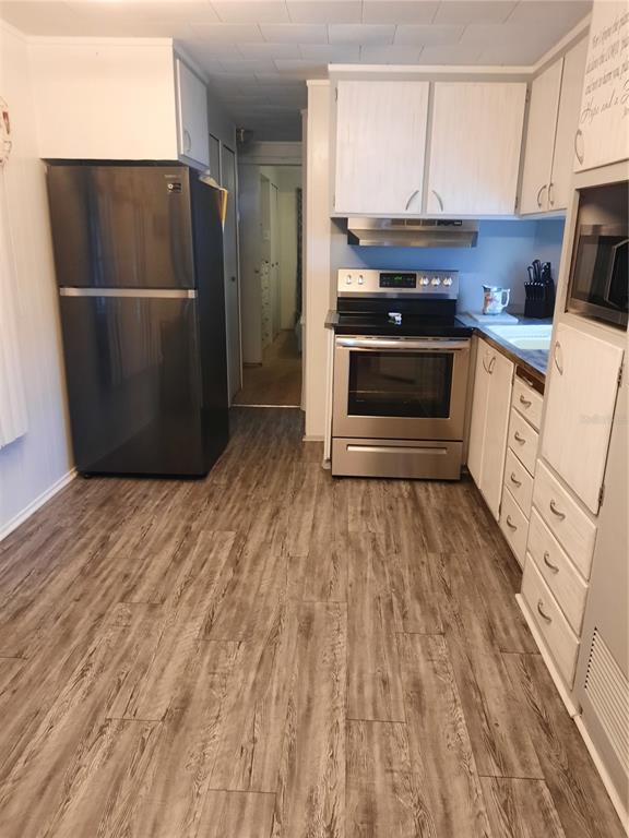 4 Palm Place Tavares, FL 32778 - Photo 11 of 20 a kitchen with a sink and a refrigerator
