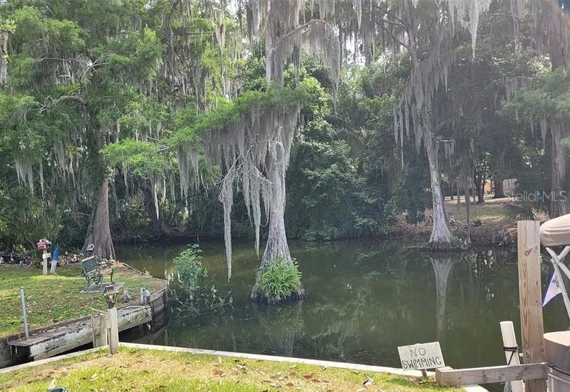 4 Palm Place Tavares, FL 32778 - Photo 4 of 20 a lake view with a lake view