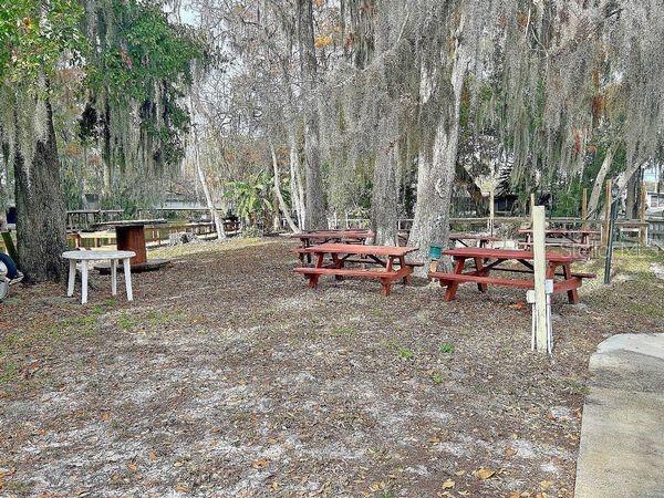 4 Palm Place Tavares, FL 32778 - Photo 5 of 20 a view of a kids room with a chairs and table in the patio