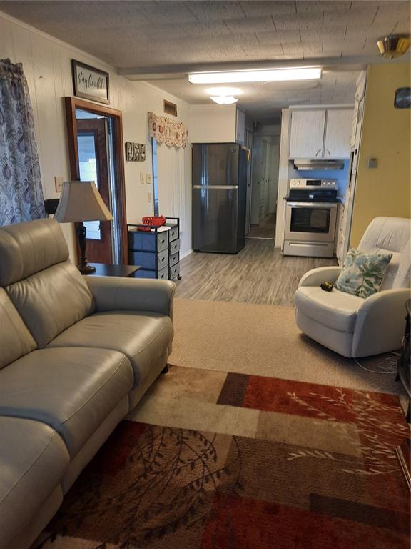 4 Palm Place Tavares, FL 32778 - Photo 6 of 20 a living room with furniture and a rug