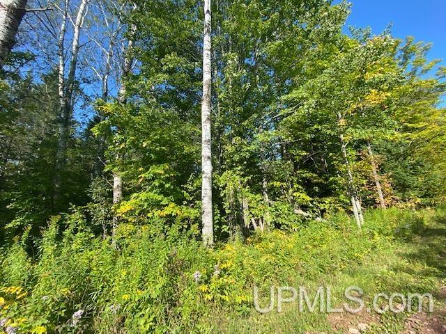 Tbd Tbd Heikkala Road Bessemer, MI 49911 - Photo 1 of 7