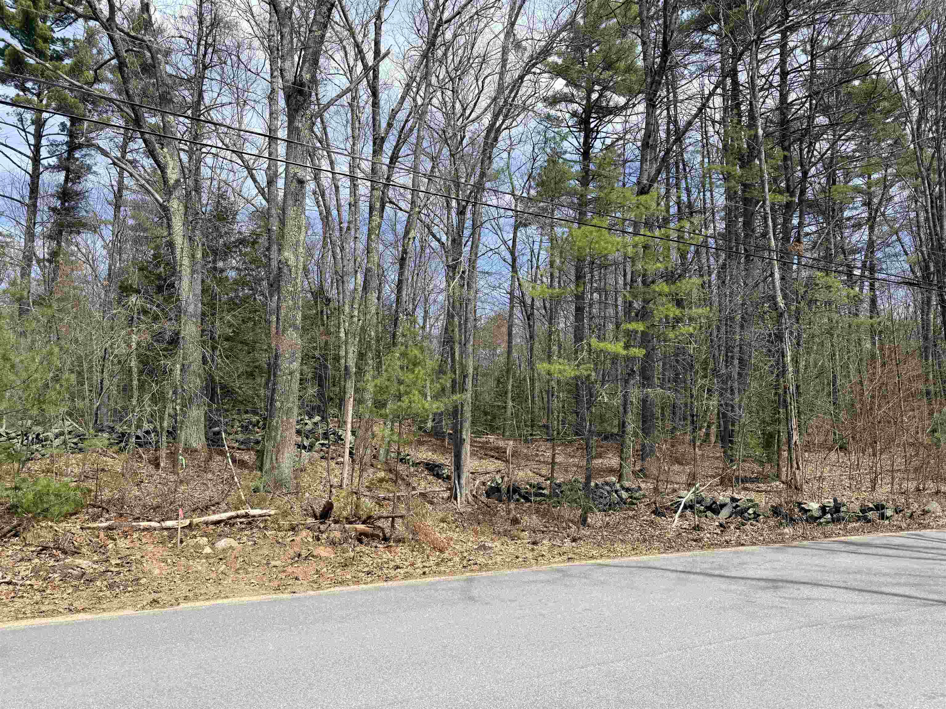 8 Baptist Hill Road Canterbury, NH 03224 - Photo 4 of 7 Gallery Image 4