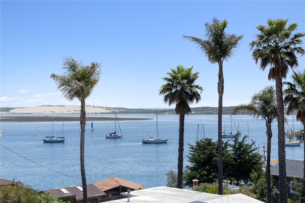 281 Main Street Morro Bay, CA 93442 - Photo 26 of 69 a view of a street with a palm tree