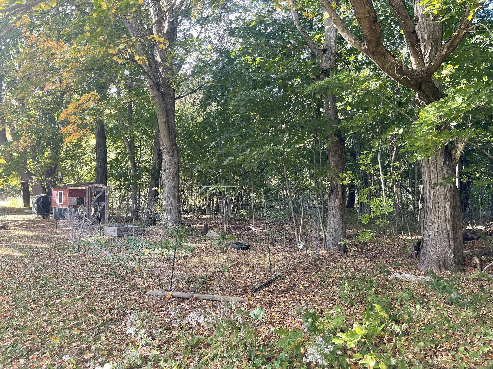 565 River Road Anson, ME 04958 - Photo 73 of 113 IMG_0516