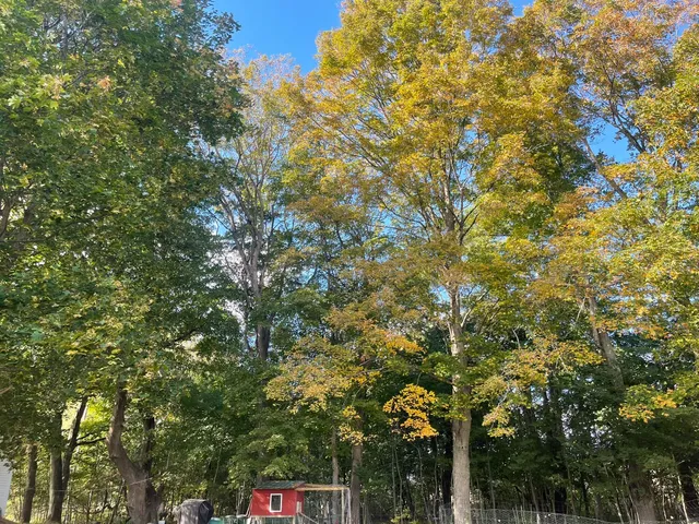 $199,000 | 565 River Road, Anson, ME 04958