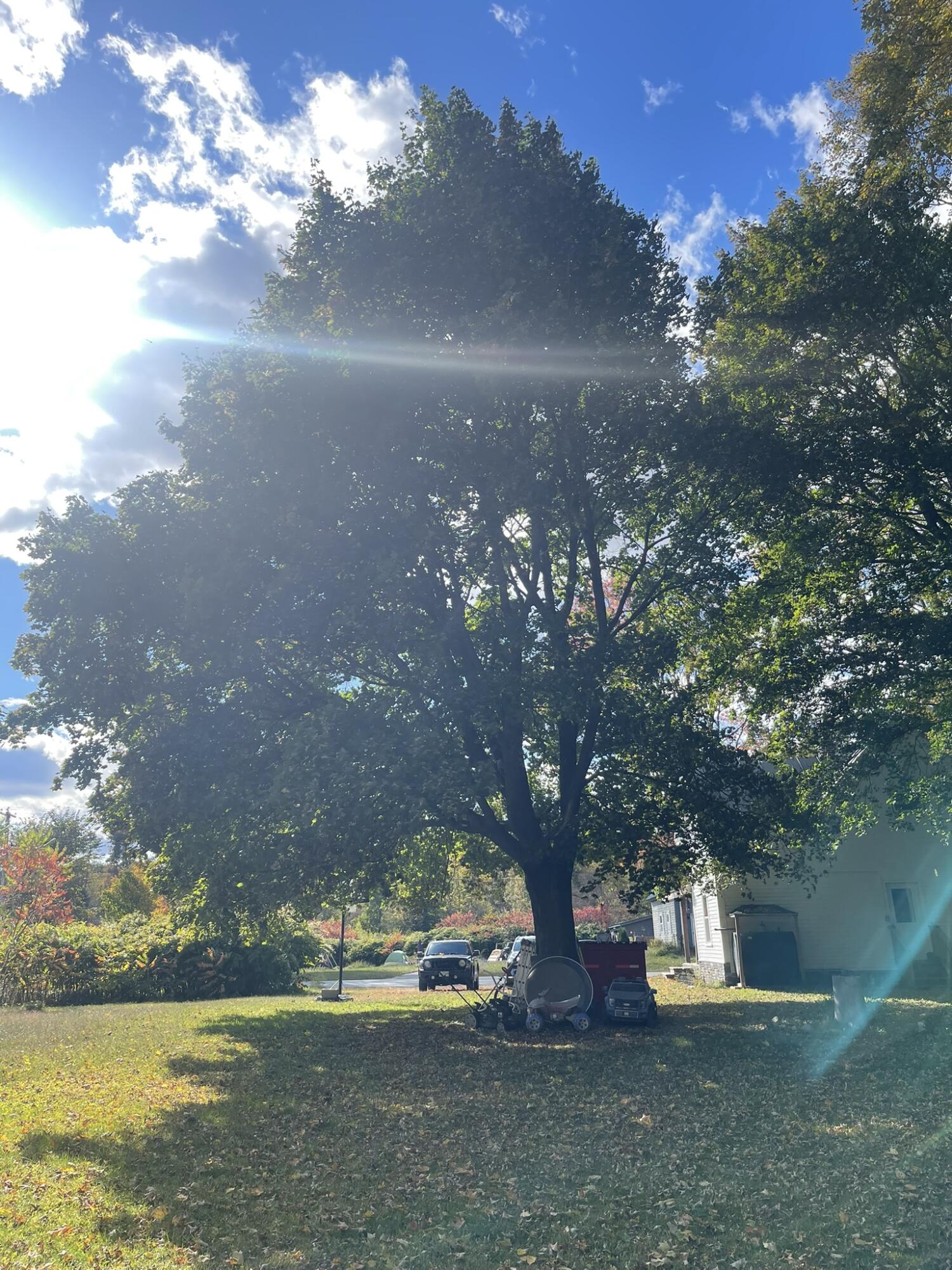 565 River Road Anson, ME 04958 - Photo 83 of 113 IMG_0520