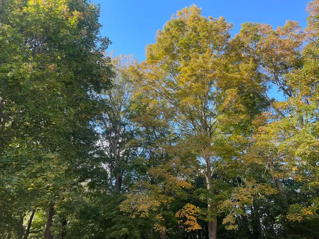 $199,000 | 565 River Road, Anson, ME 04958