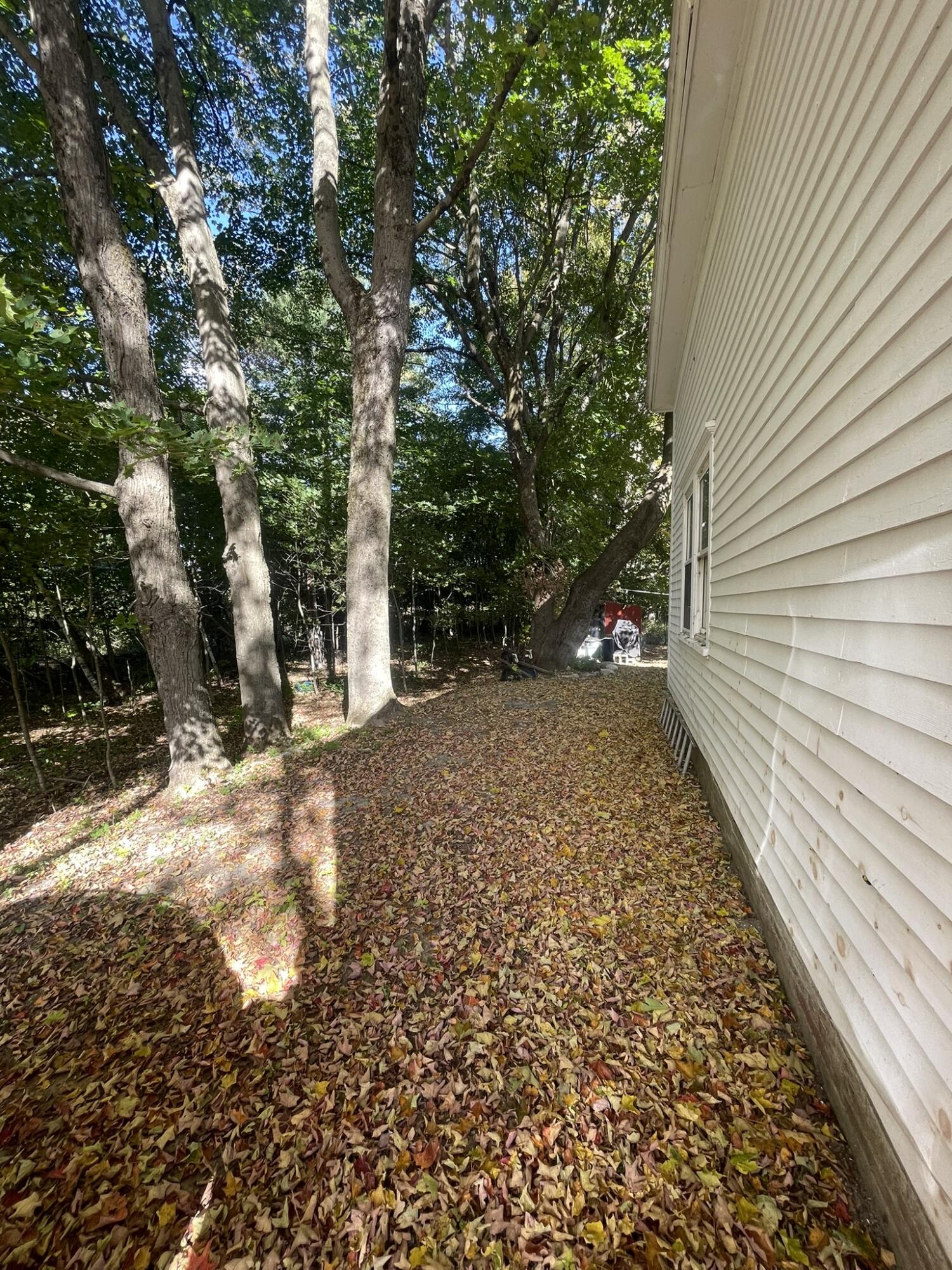 565 River Road Anson, ME 04958 - Photo 99 of 113 IMG_0550