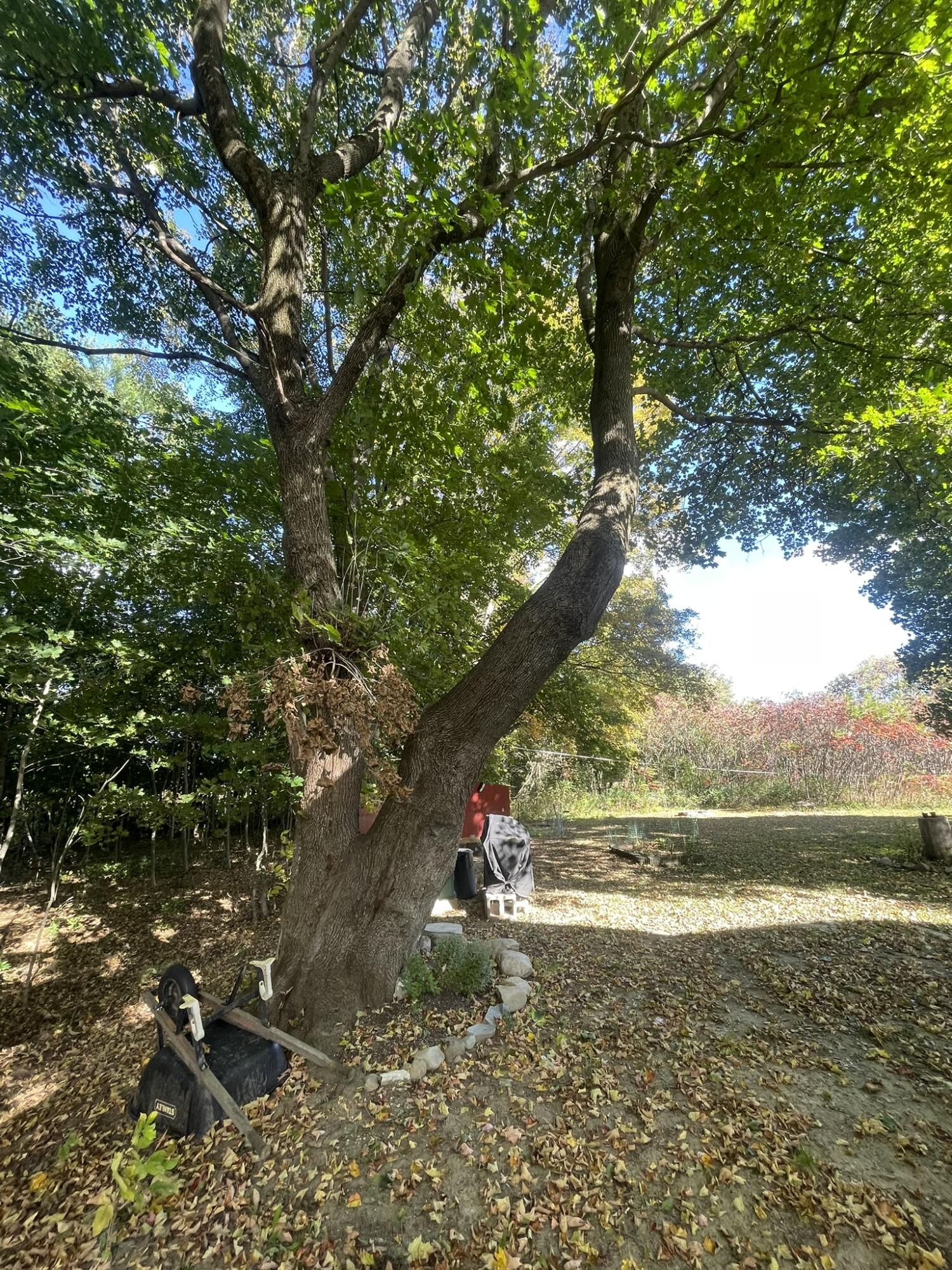 565 River Road Anson, ME 04958 - Photo 100 of 113 IMG_0551