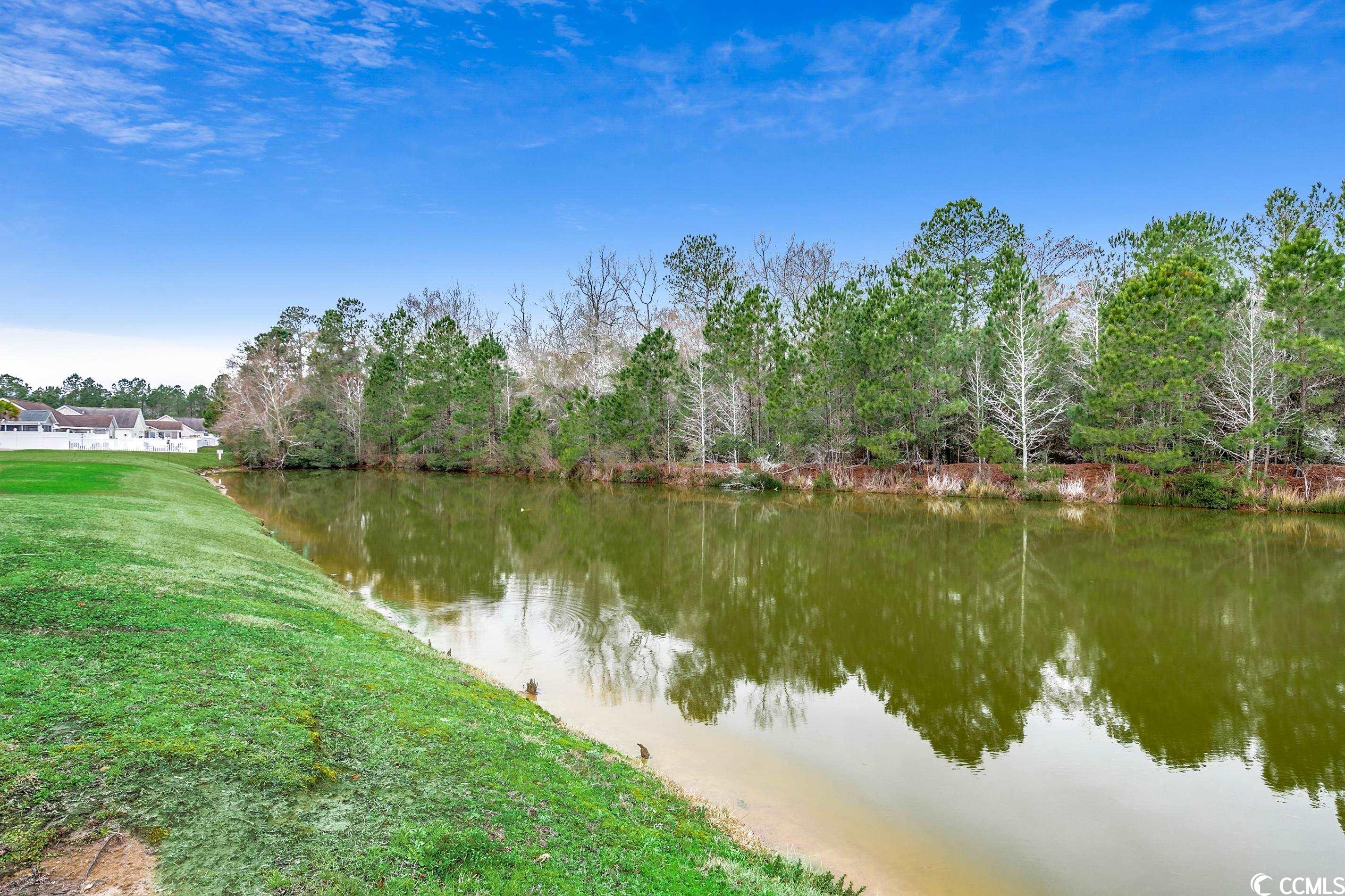 405 Barton Loop Myrtle Beach, SC 29579 - Photo 34 of 37 Gallery Image 34