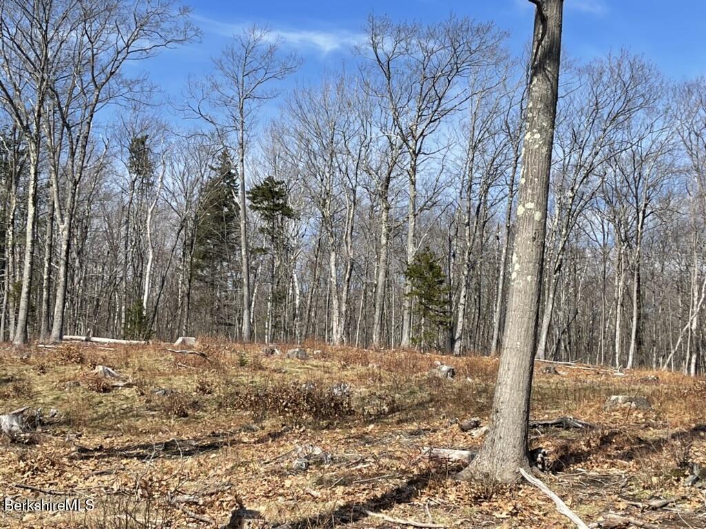 88 Church Road Florida, MA 01343 - Photo 2 of 10 a view of snow covered with trees