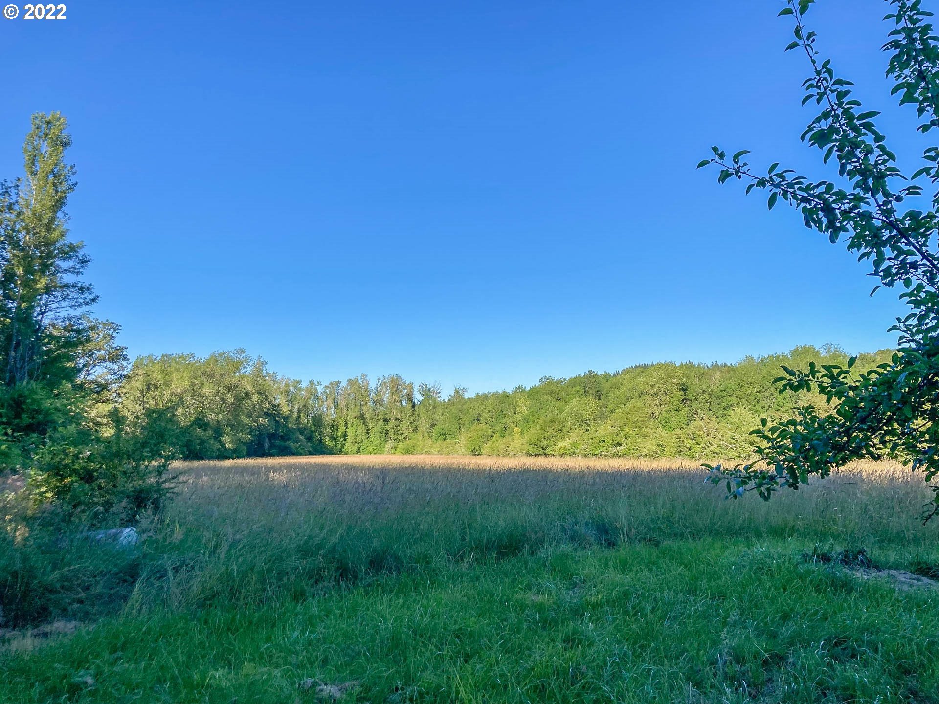 8849 Rice Valley Road Yoncalla, OR 97499 - Photo 11 of 11 Gallery Image 11