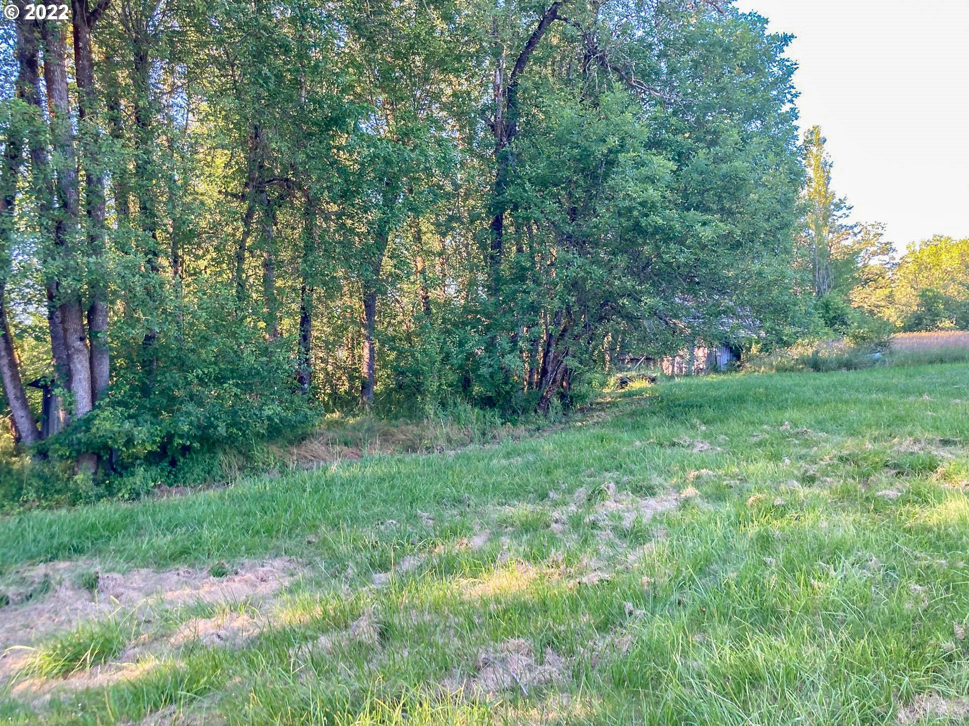 8849 Rice Valley Road Yoncalla, OR 97499 - Photo 9 of 11 Gallery Image 9