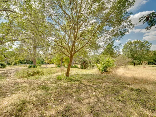 a view of a yard with a tree