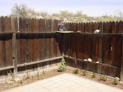 2470 West Oracle Jaynes Station Road Tucson, AZ 85741 - Photo 8 of 10 Gallery Image 8