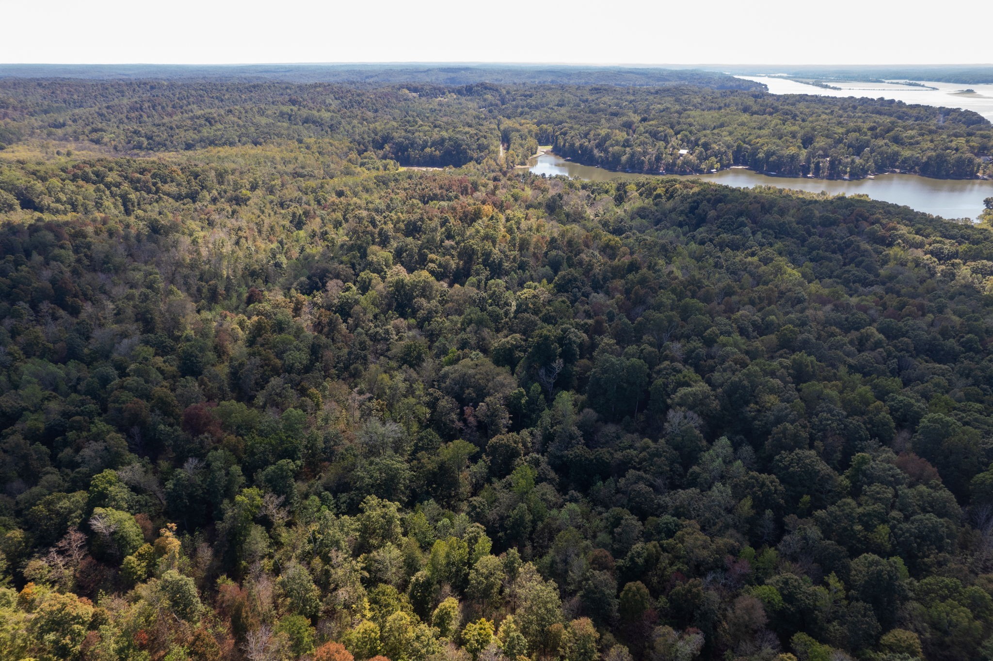 0 Lock E Road Cadiz, KY 42211 - Photo 29 of 88 an aerial view of forest
