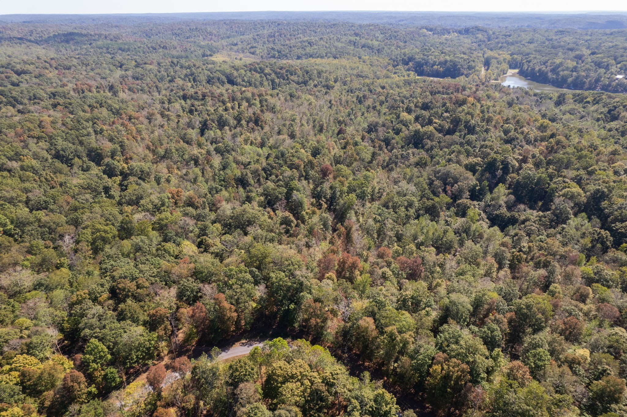 0 Lock E Road Cadiz, KY 42211 - Photo 32 of 88 an aerial view of forest