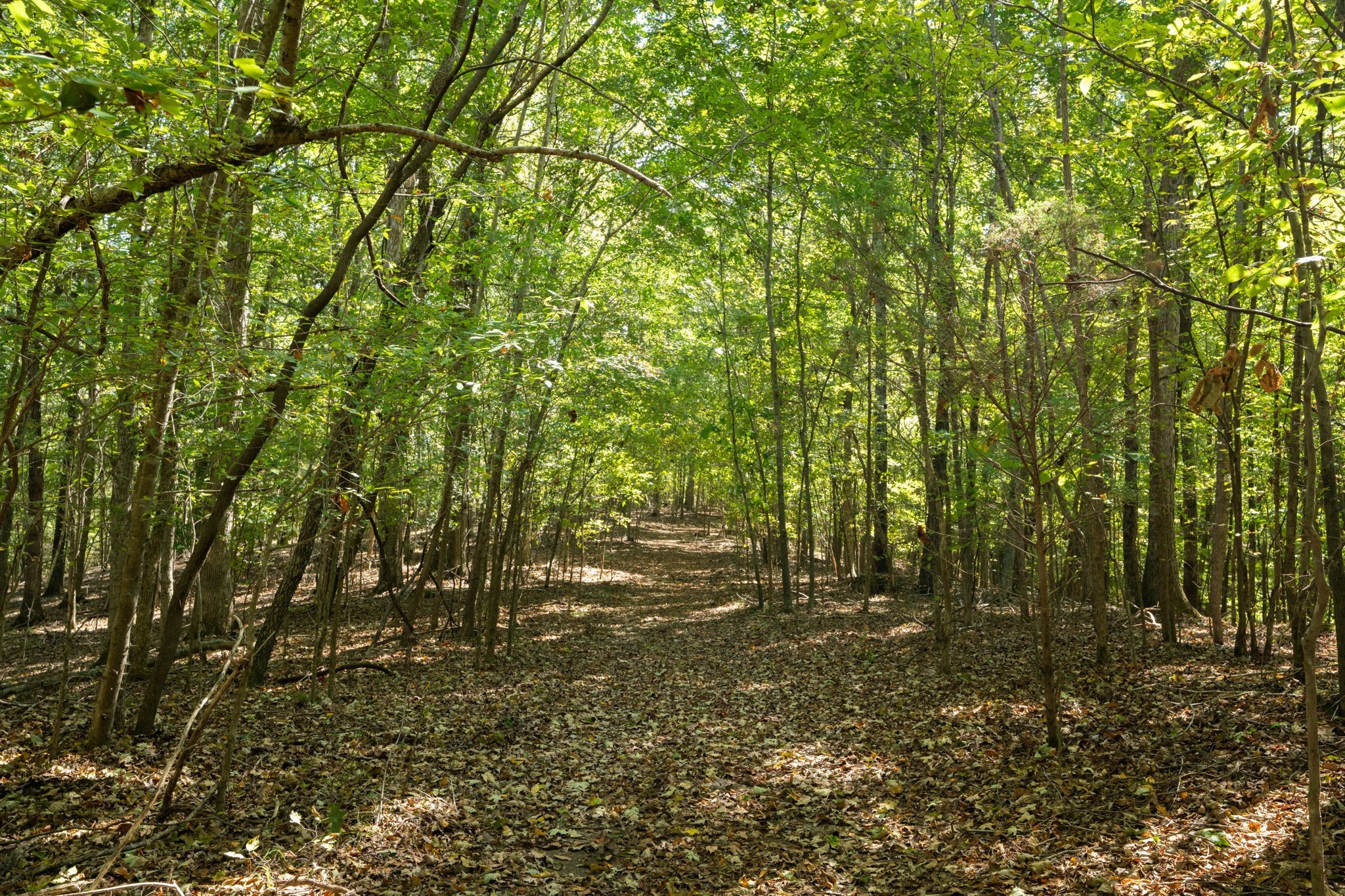 0 Lock E Road Cadiz, KY 42211 - Photo 48 of 88