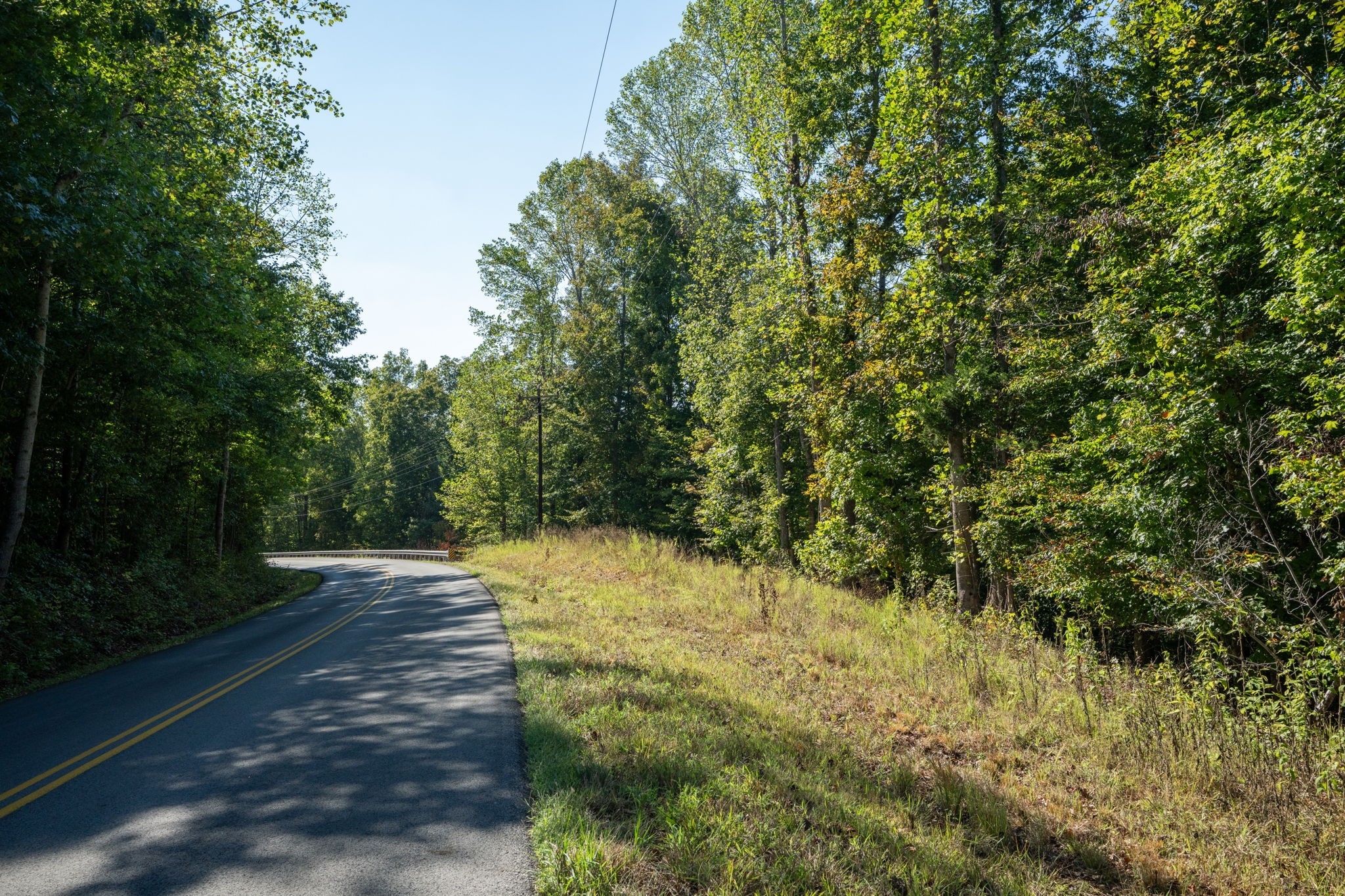 0 Lock E Road Cadiz, KY 42211 - Photo 58 of 88 a view of a yard with plants and trees
