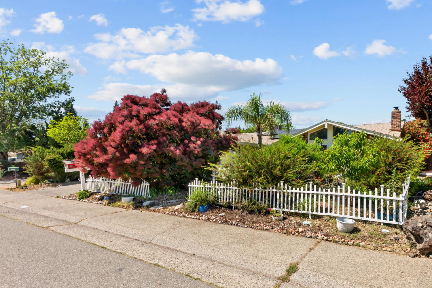 3395 Meadow Way Rocklin, CA 95677 - Photo 31 of 35 a view of a garden