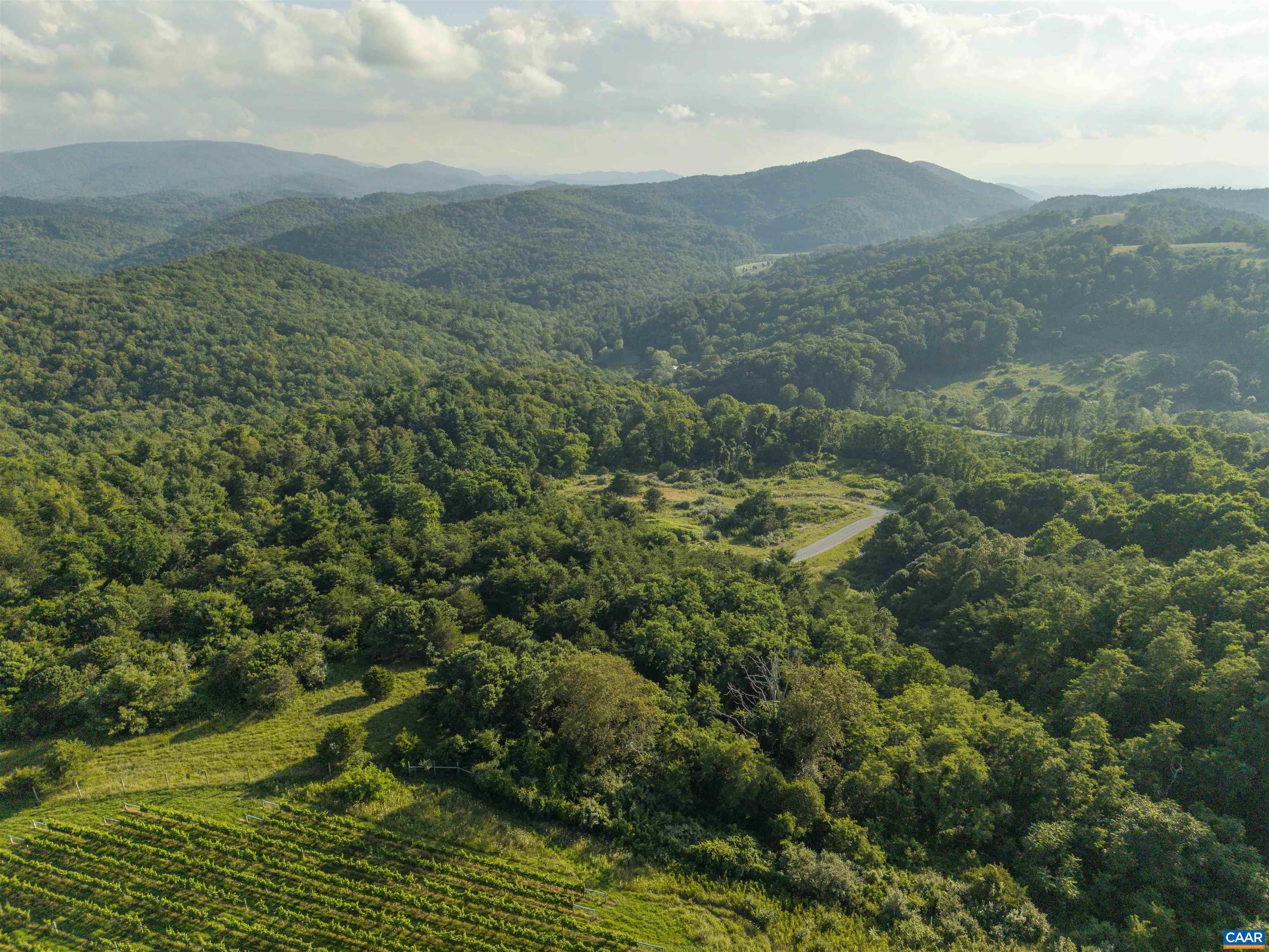 a view of a field with an ocean