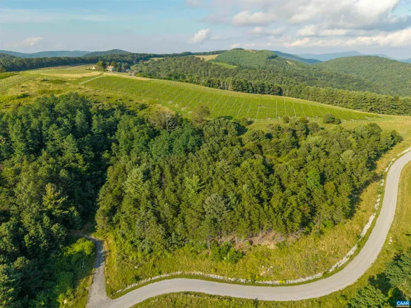 a view of a swimming pool with a garden