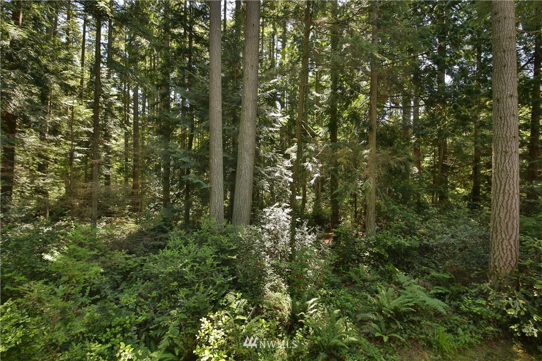 3939 Lone Lake Road Langley, WA 98260 - Photo 21 of 21 Gallery Image 21