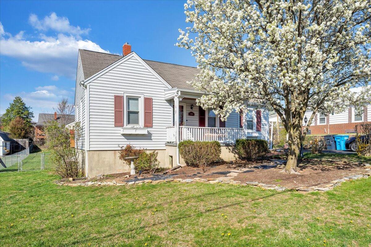 1210 Victory Road Southeast Roanoke, VA 24014 - Photo 5 of 5 PRETTY YARD!