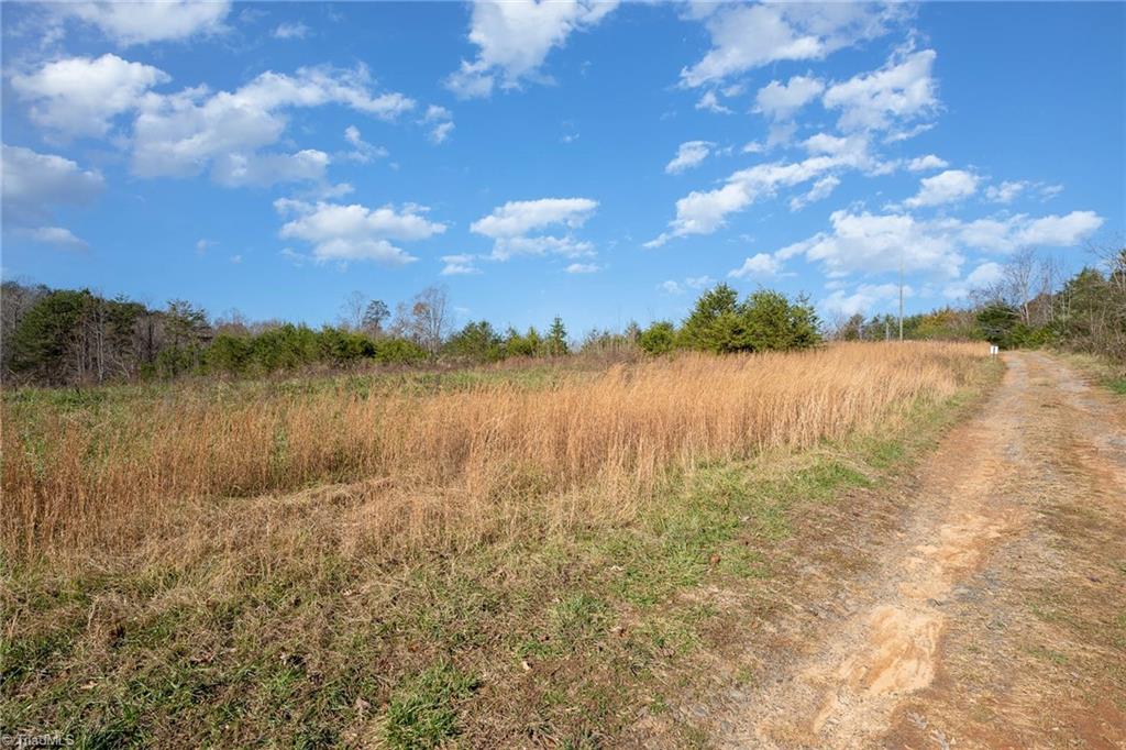1332 Tom Mix Road Westfield, NC 27053 - Photo 11 of 11 Gallery Image 11