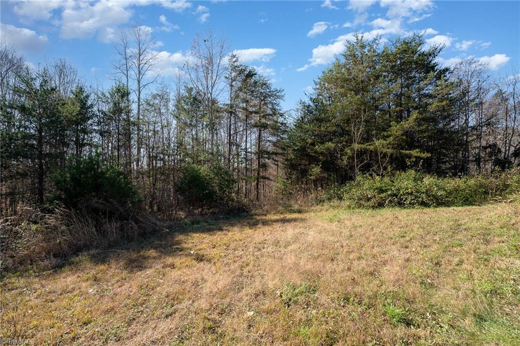 1332 Tom Mix Road Westfield, NC 27053 - Photo 9 of 11 Gallery Image 9