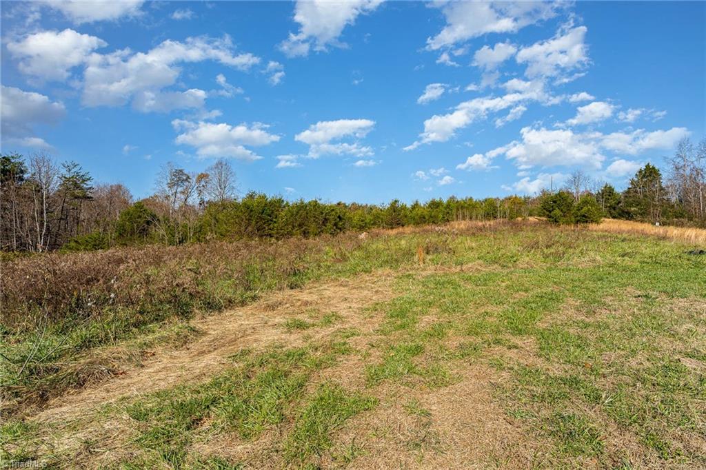 1332 Tom Mix Road Westfield, NC 27053 - Photo 10 of 11 Gallery Image 10