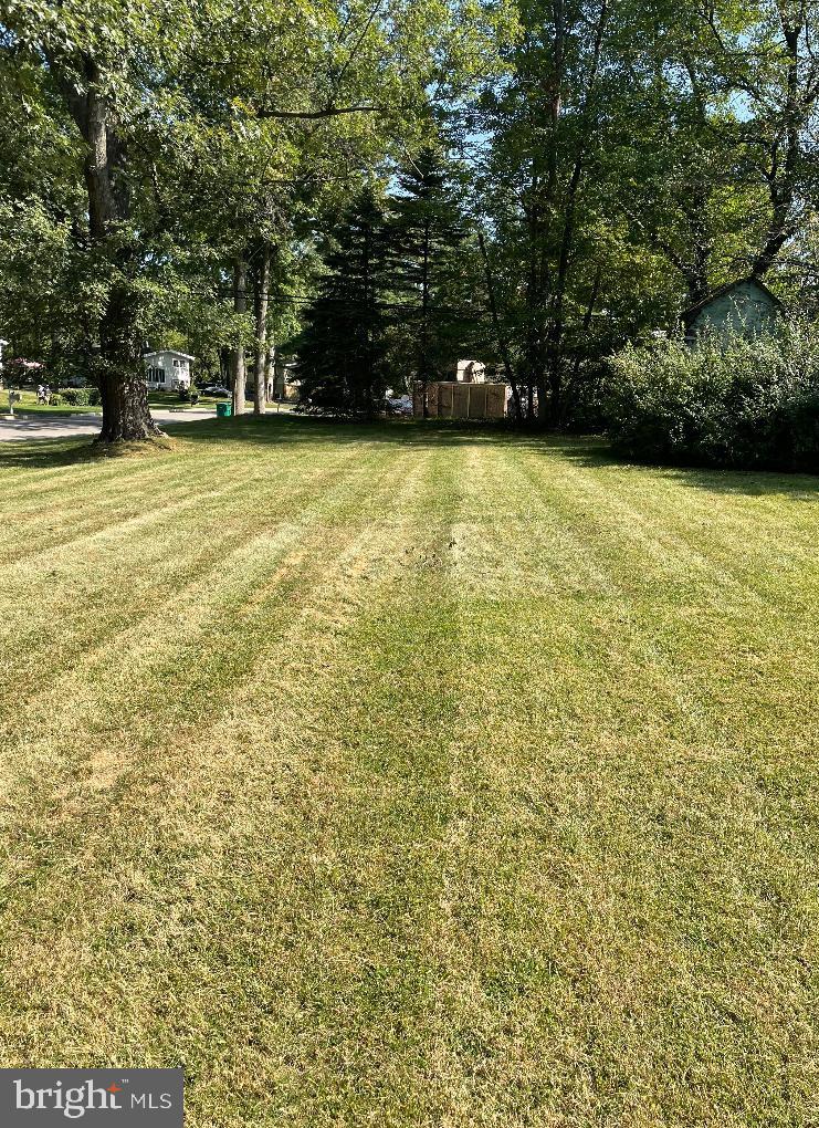 1697 Daws Road Blue Bell, PA 19422 - Photo 4 of 7 Tree lined street