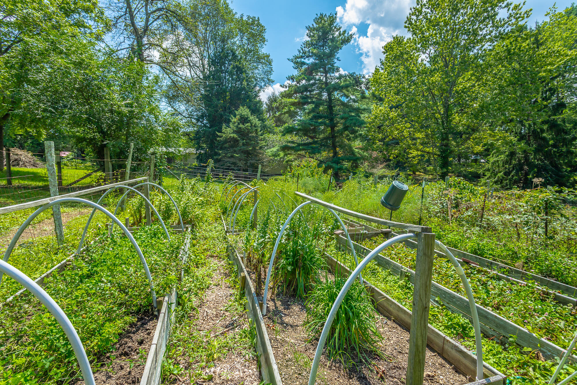 1001 Smith Spring Street Signal Mountain, TN 37377 - Photo 58 of 67 1001 Smith Spring Street HD-132