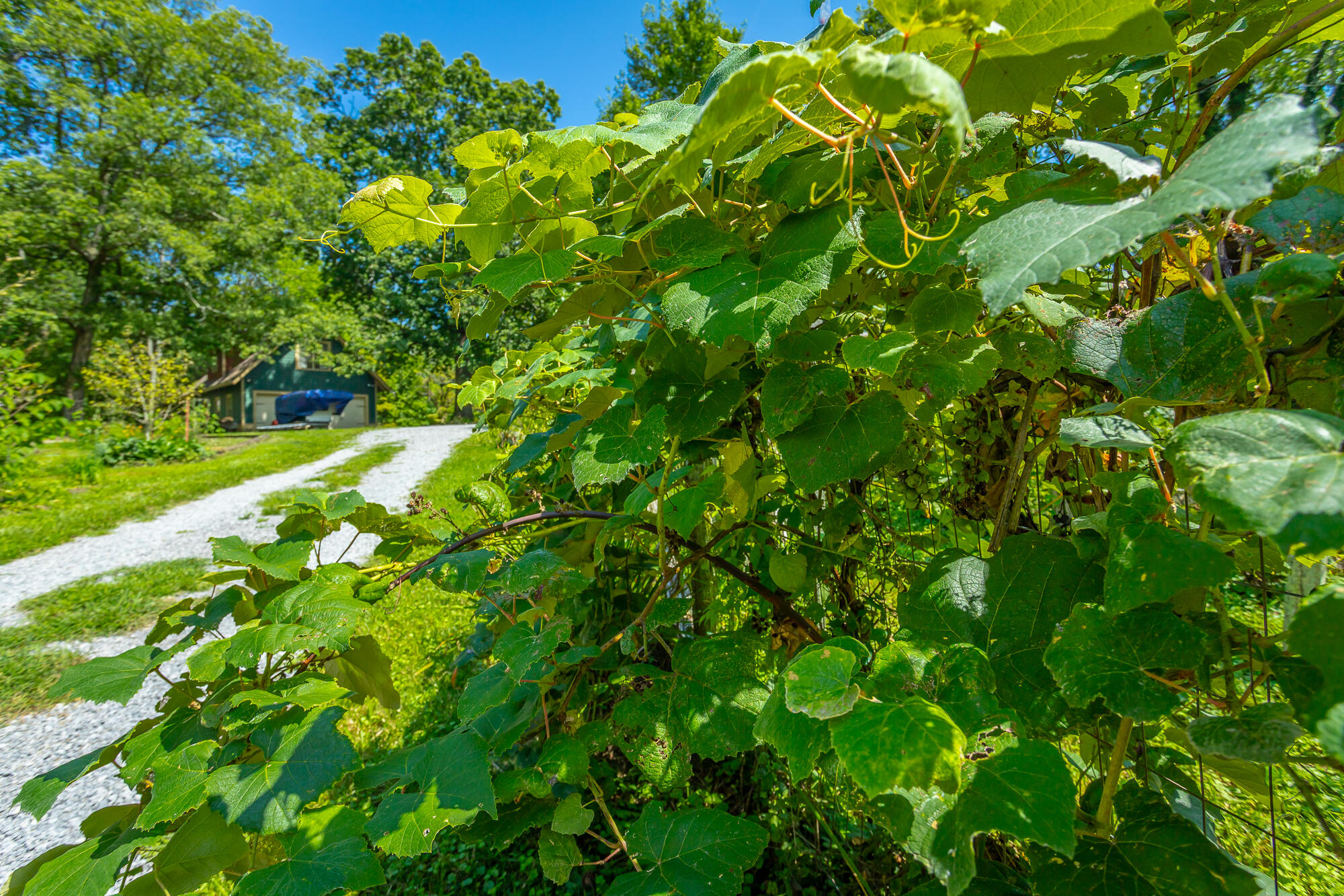 1001 Smith Spring Street Signal Mountain, TN 37377 - Photo 59 of 67 1001 Smith Spring Street HD-131