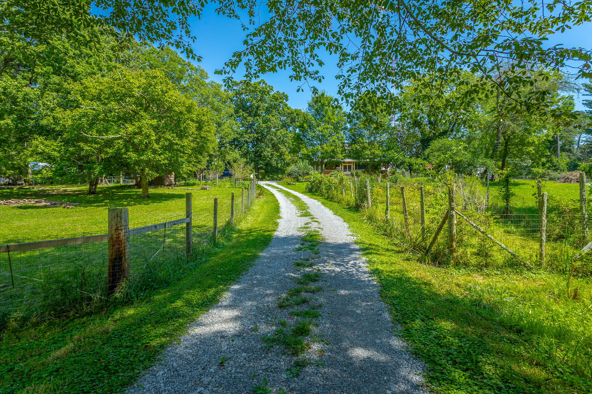 1001 Smith Spring Street Signal Mountain, TN 37377 - Photo 61 of 67 1001 Smith Spring Street HD-126