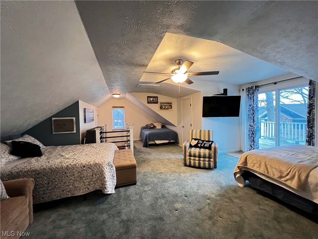 6213 Lake Road West Ashtabula, OH 44004 - Photo 28 of 30 Carpeted bedroom with lofted ceiling, ceiling fan, a textured ceiling, and access to exterior