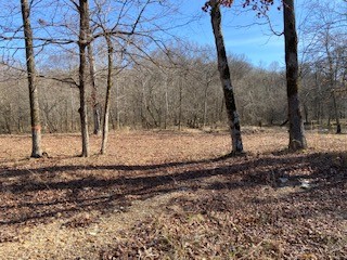 534 Tablerock Road Hohenwald, TN 38462 - Photo 2 of 9 Gallery Image 2