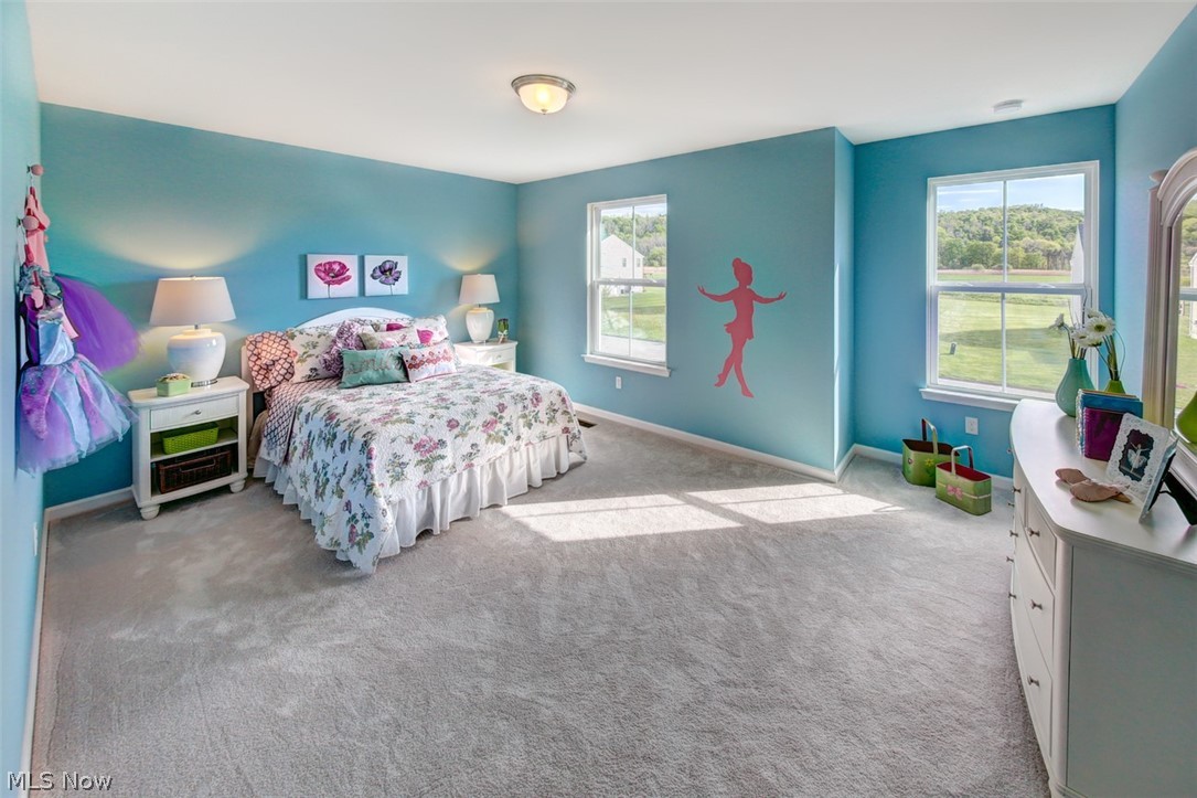 36576 Rummel Mill Drive North Ridgeville, OH 44039 - Photo 12 of 16 Gallery Image 12