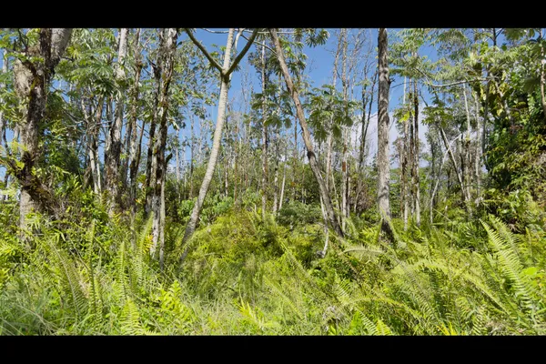 $115,000 | 1201 13th Avenue, Keaau, HI 96749