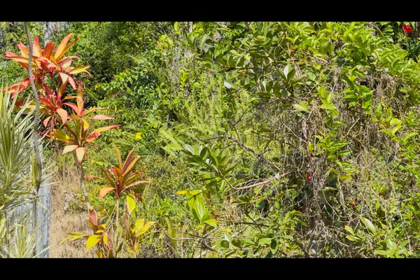 $115,000 | 1201 13th Avenue, Keaau, HI 96749