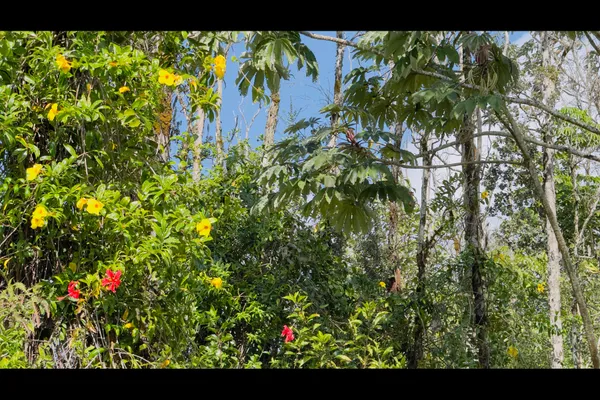 $115,000 | 1201 13th Avenue, Keaau, HI 96749